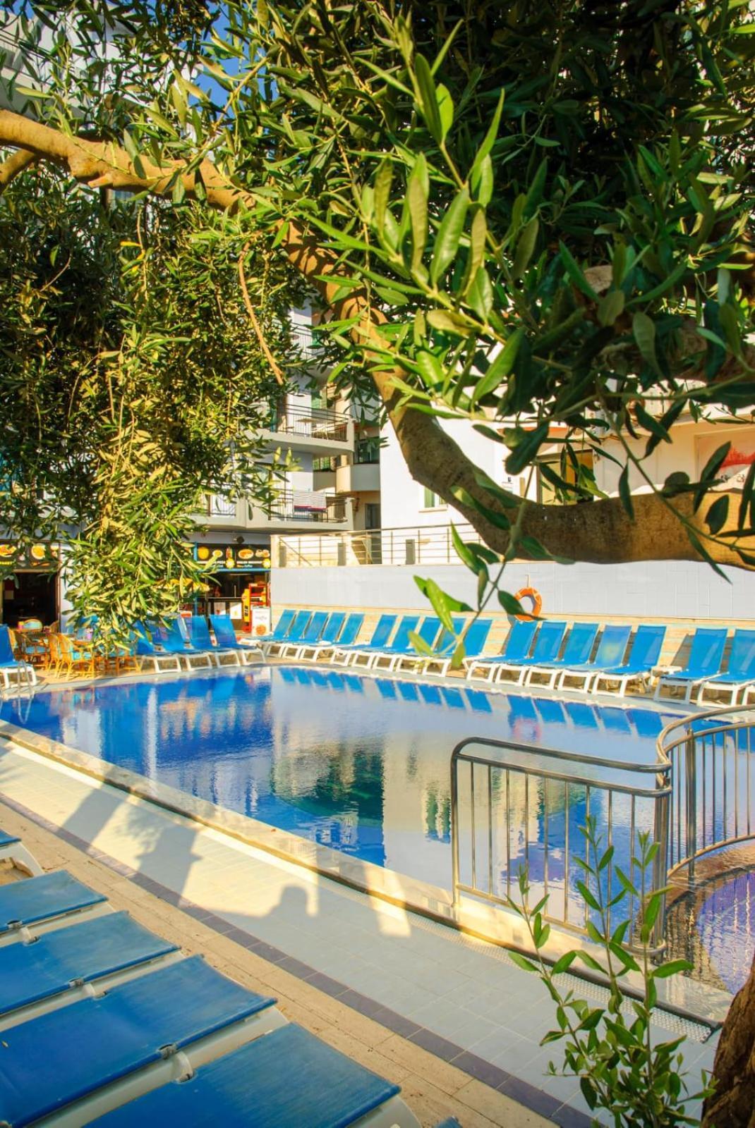 Mutlu Hotel 迪迪姆 外观 照片