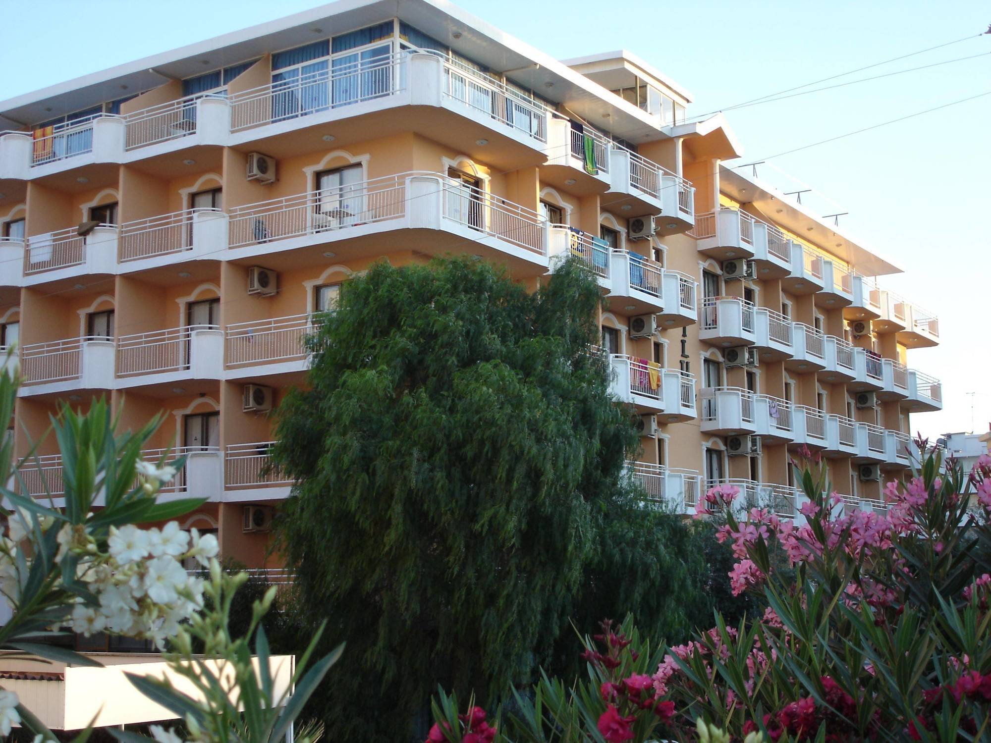 Mutlu Hotel 迪迪姆 外观 照片